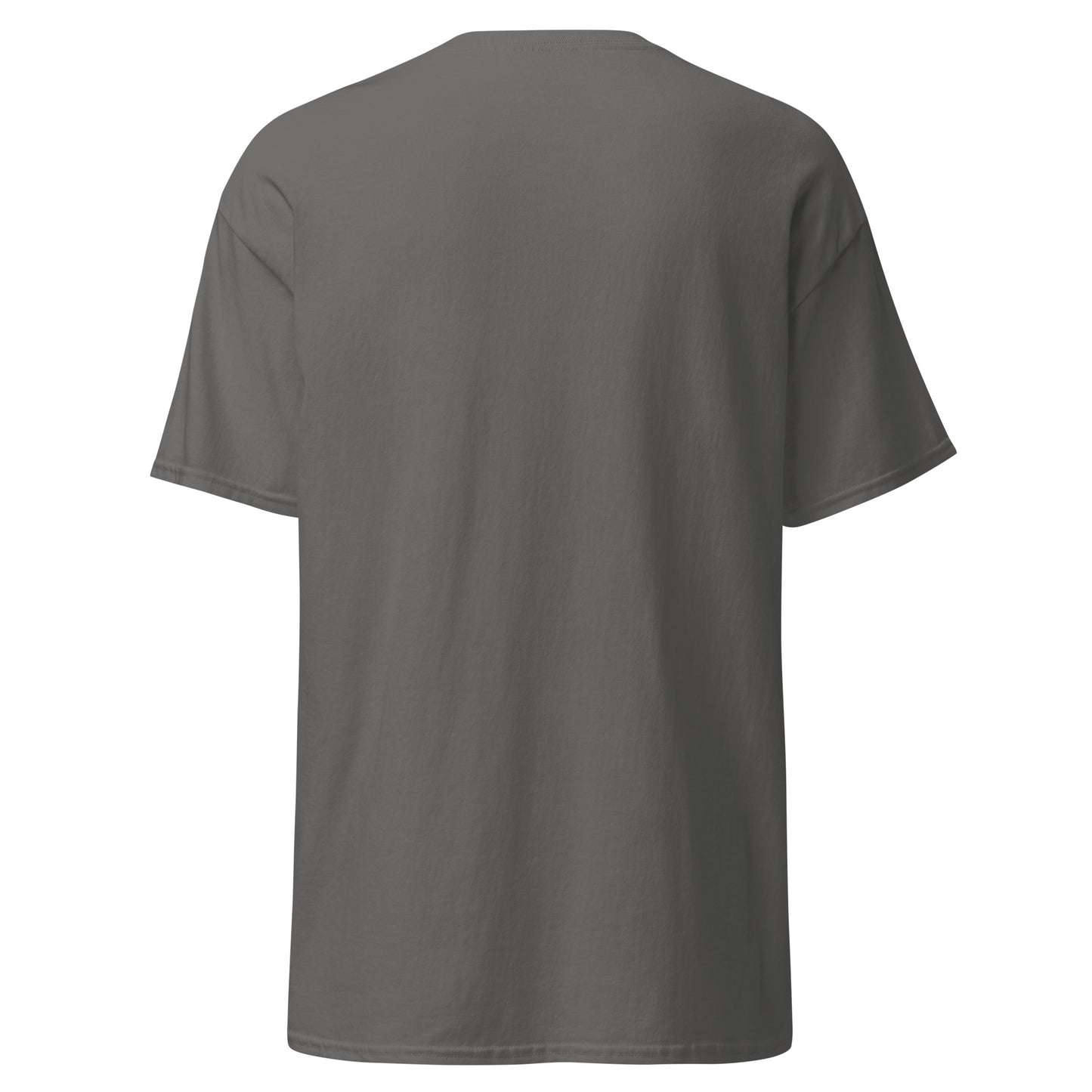 Big Box embroidered t-shirt (Various Colours)